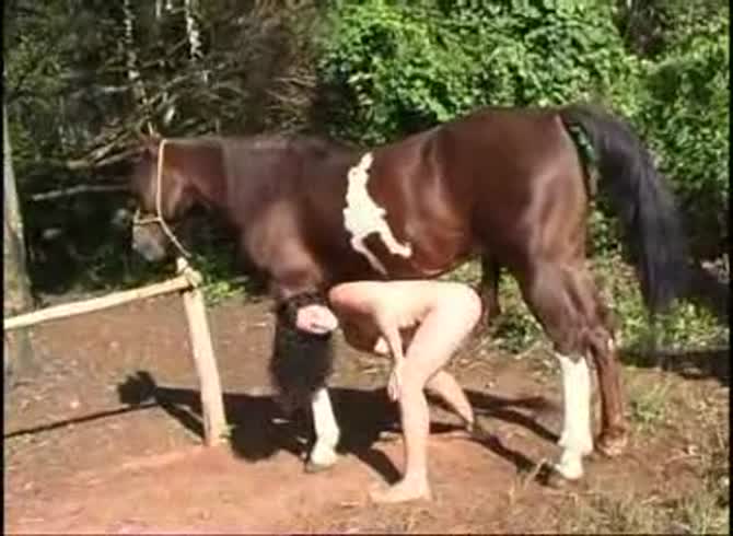 Video :Horse anal sex with beautiful and curvy chick